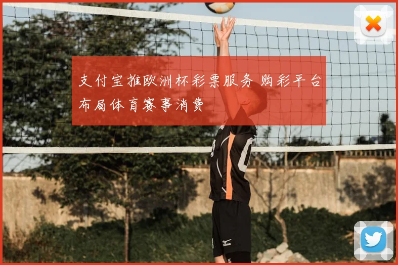 支付宝推欧洲杯彩票服务 购彩平台布局体育赛事消费