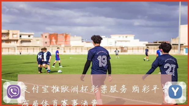 支付宝推欧洲杯彩票服务 购彩平台布局体育赛事消费