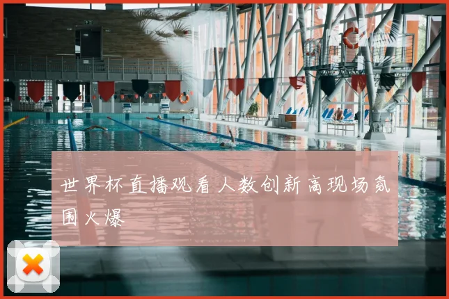 世界杯直播观看人数创新高现场氛围火爆