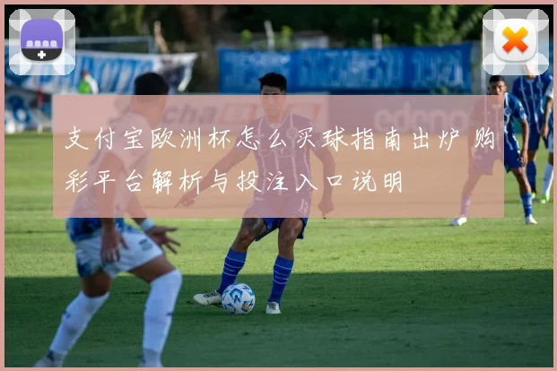 支付宝欧洲杯怎么买球指南出炉 购彩平台解析与投注入口说明