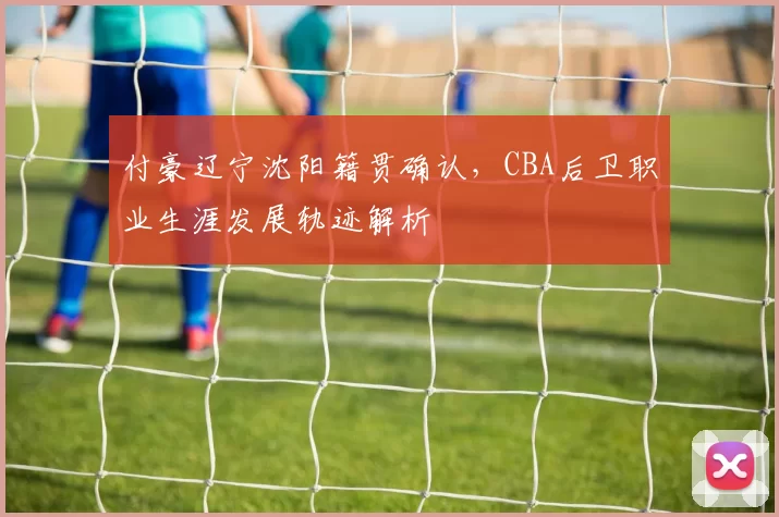 付豪辽宁沈阳籍贯确认，CBA后卫职业生涯发展轨迹解析