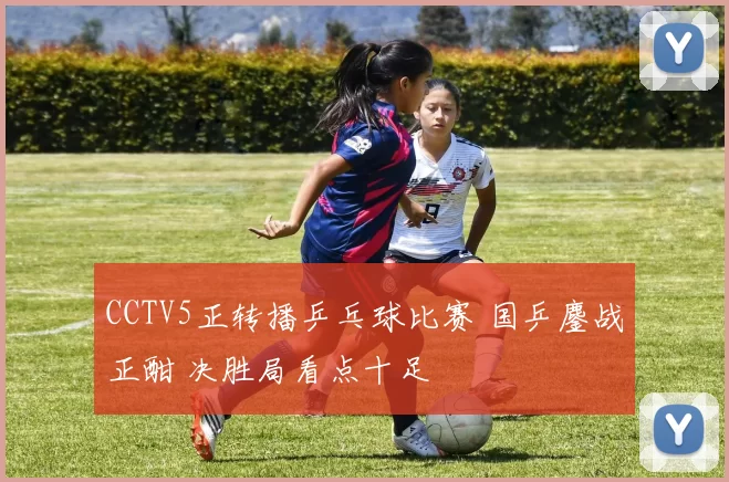 CCTV5正转播乒乓球比赛 国乒鏖战正酣 决胜局看点十足