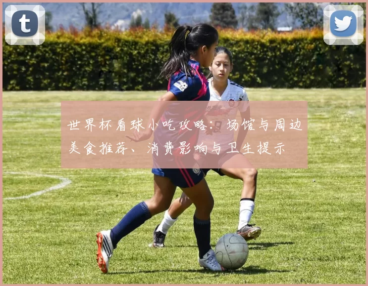 世界杯看球小吃攻略：场馆与周边美食推荐、消费影响与卫生提示