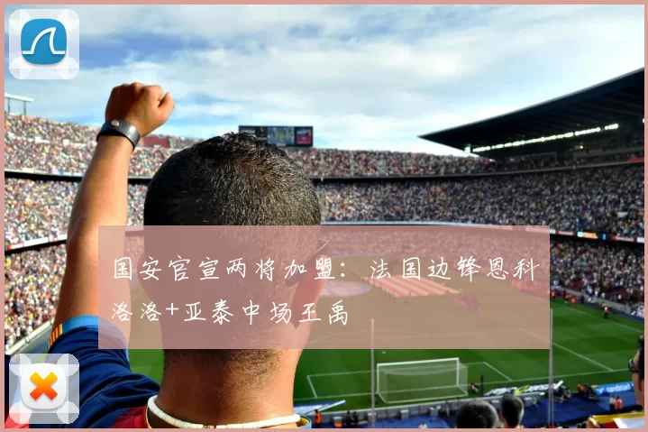 国安官宣两将加盟：法国边锋恩科洛洛+亚泰中场王禹